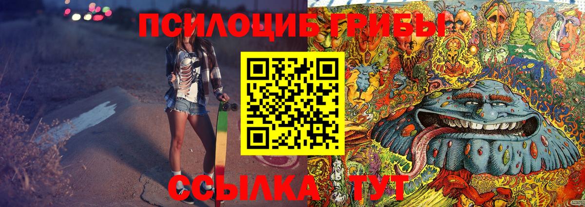 Галлюциногенные грибы Cubensis Берёзовский