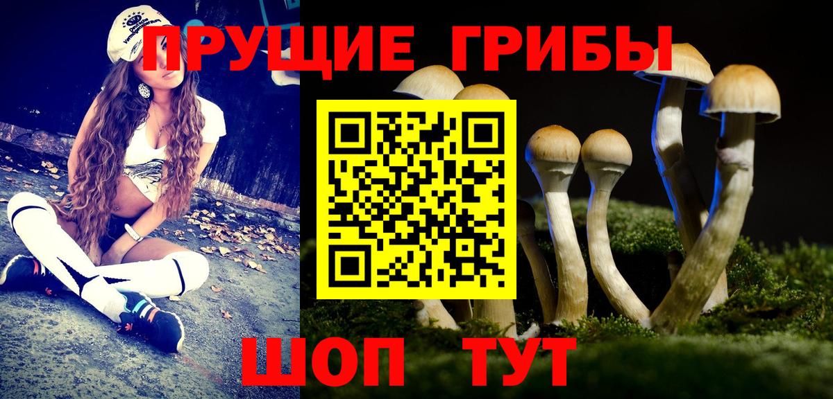 Галлюциногенные грибы MAGIC MUSHROOMS  Псилоцибиновые грибы мицелий  Вход с VPN  Берёзовский 