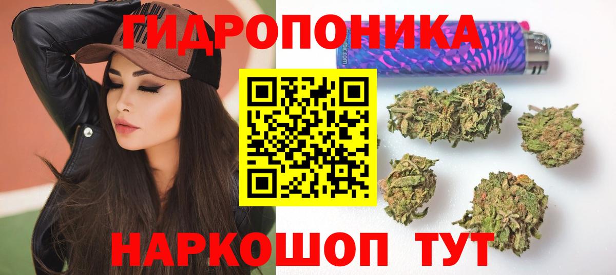 Конопля марихуана Берёзовский